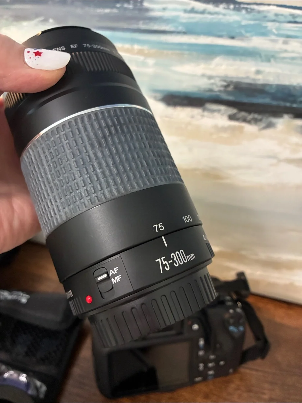 Canon EOS Rebel T5 Camera with Extra Lenses and Accessories